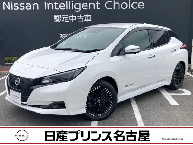 リーフ  X Vセレクション