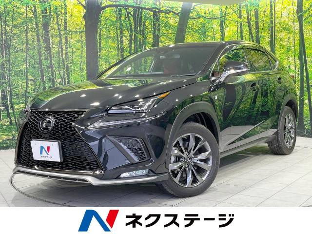 NX 300 Fスポーツ 