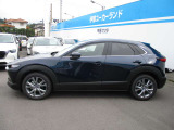 大きすぎず小さすぎず使い勝手の良いSUV!