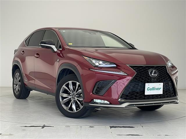 NX 300h Fスポーツ 本革シート 修復歴無し