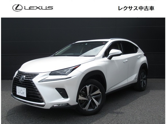 NX 300h Iパッケージ 4WD 