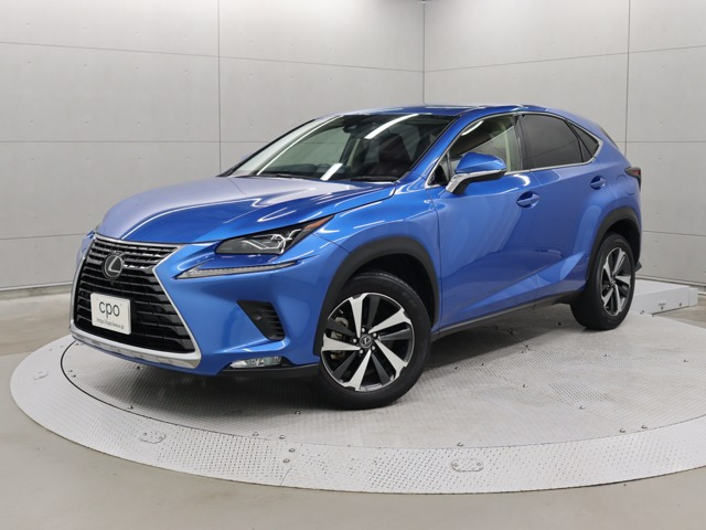 NX 300 バージョンL 