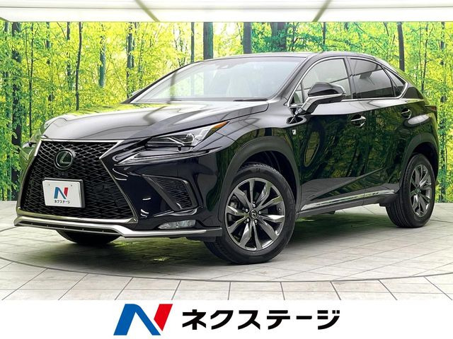 NX 300 Fスポーツ 