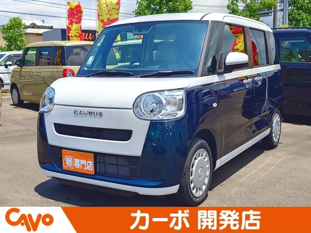 ムーヴキャンバス  ストライプス X