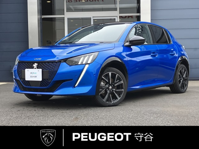 e-208 GT 