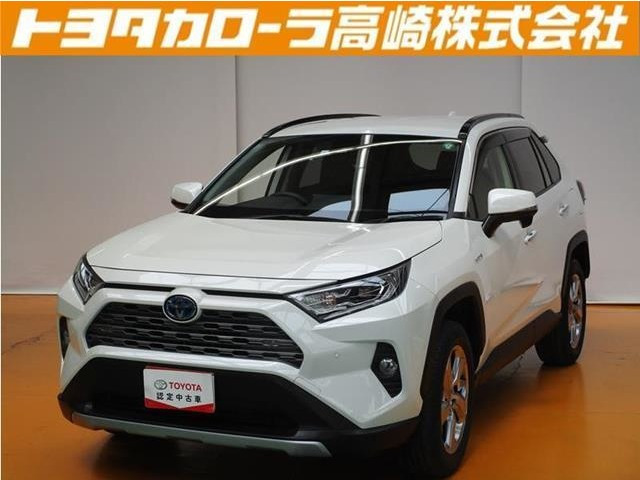 RAV4 2.5 ハイブリッド G E-Four 4WD 