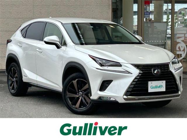 NX 300h バージョンL 本革シート 修復歴無し