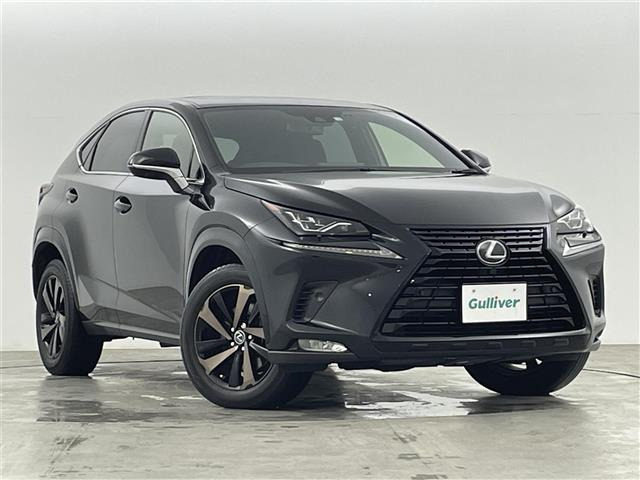 NX 300 ブロンズ エディション 本革シート サンルーフ