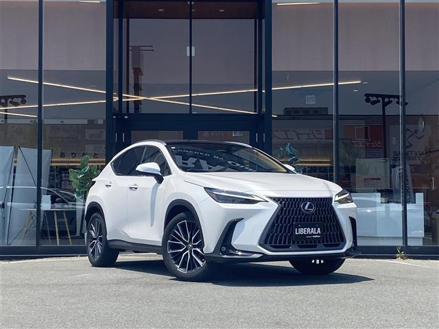 NX 350h バージョンL 本革シート サンルーフ