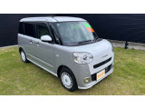 ムーヴキャンバス  ストライプス G
