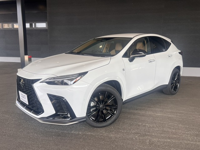 NX 350h Fスポーツ 