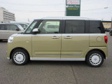 ムーヴキャンバス  ストライプス G