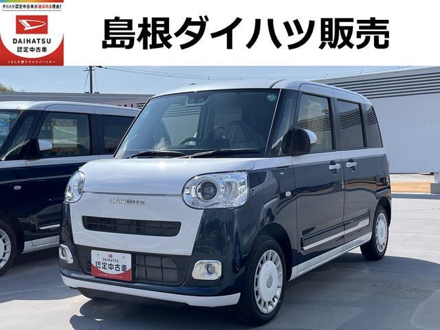 ムーヴキャンバス  ストライプス G