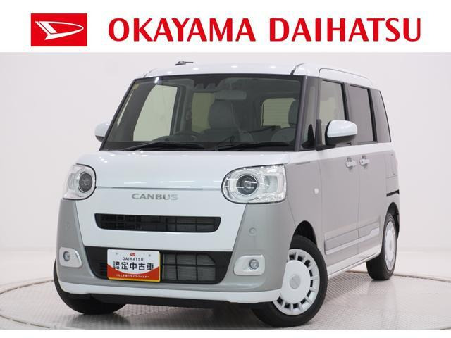 ムーヴキャンバス  ストライプス G