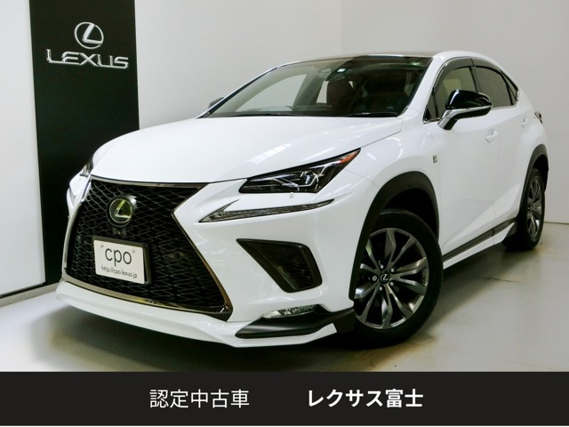 NX 300 Fスポーツ 