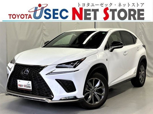 NX 300h Fスポーツ 