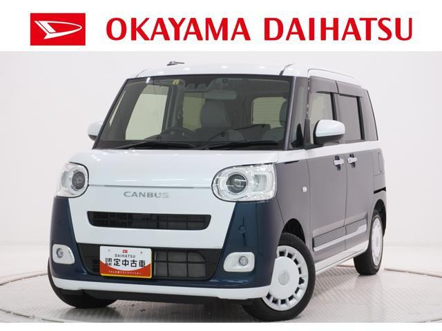 ムーヴキャンバス  ストライプス G