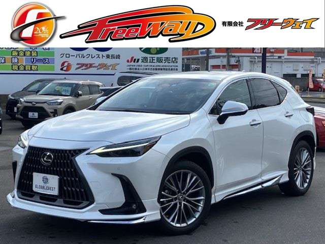 NX 250 バージョンL NX 250 バージョンL