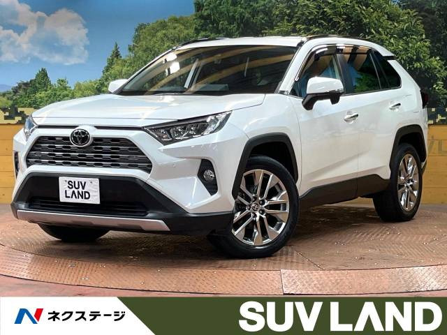RAV4  G Zパッケージ