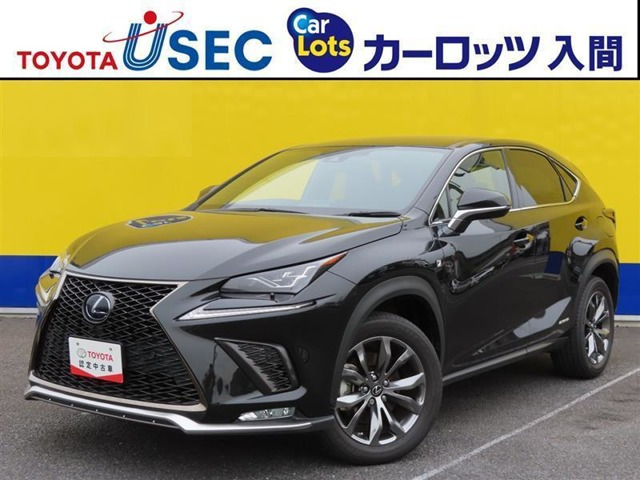NX 300h Fスポーツ 