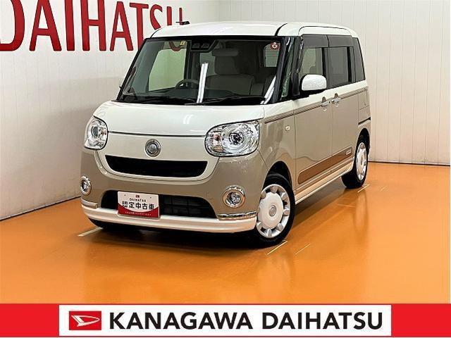 ムーヴキャンバス G メイクアップ SAIII 
