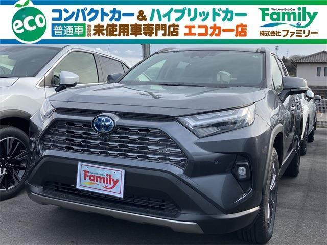 RAV4 2.5 ハイブリッド G E-Four 4WD ディスプレイオーディオ 登録済未使用車