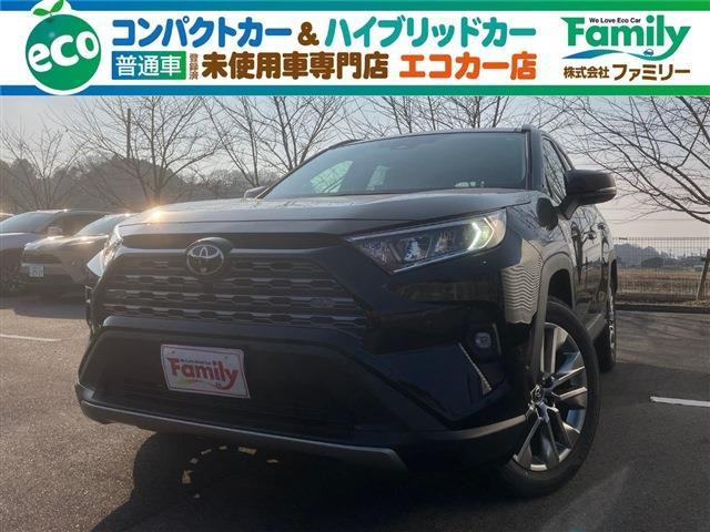 RAV4 2.0 G Zパッケージ 4WD アクセサリーコンセント 登録済未使用車