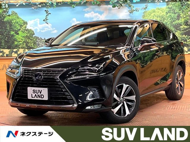 NX 300h Iパッケージ 
