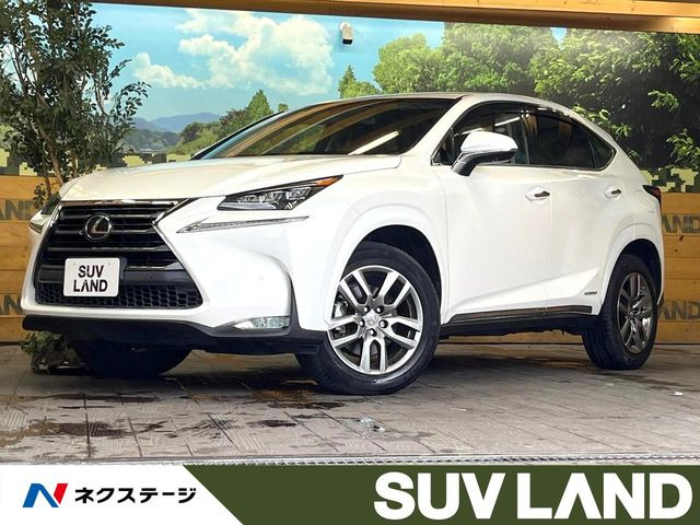 NX 300h Iパッケージ 