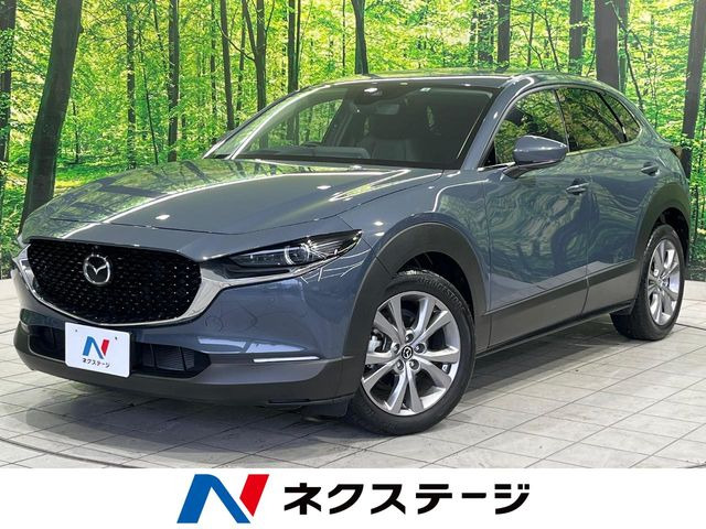 CX-30 2.0 20S プロアクティブ ツーリングセレクション 