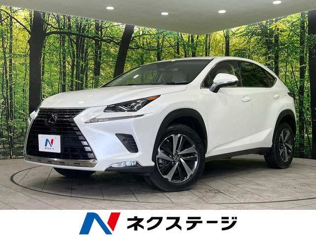 NX 200t Iパッケージ 