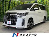両側電動ドア 後席モニター 禁煙車 バックカメラ 衝突被害軽減システム
