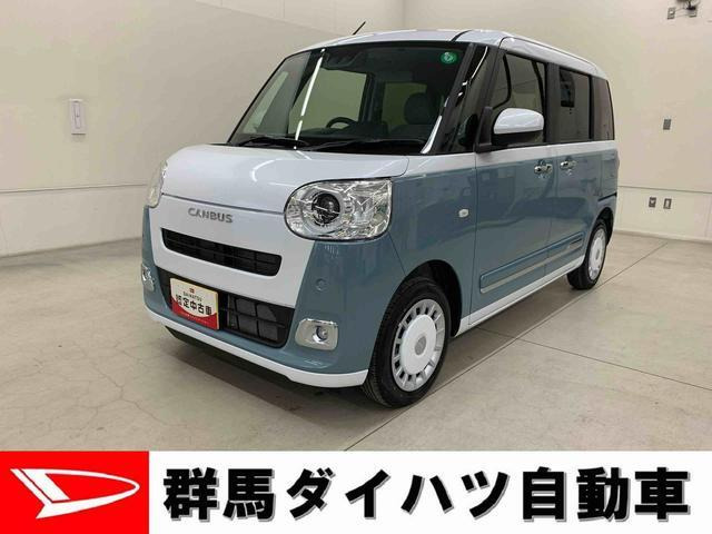 ムーヴキャンバス  ストライプス G