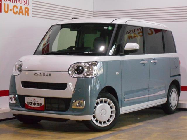 ムーヴキャンバス  ストライプス G