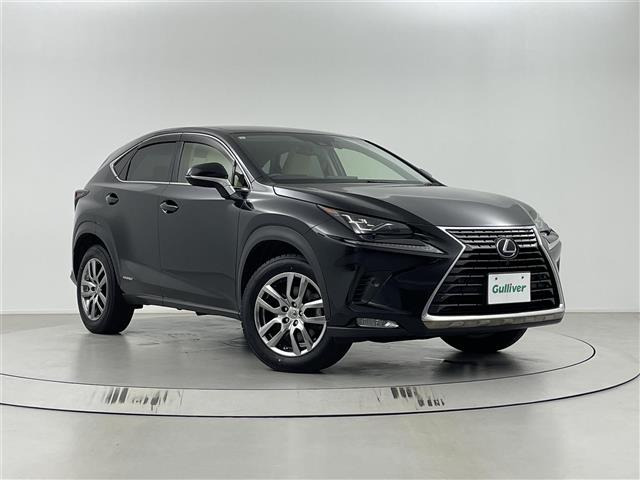 NX 300h Iパッケージ 本革シート 修復歴無し