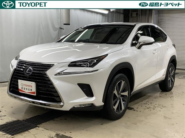 NX 300h Iパッケージ 