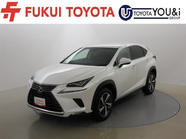NX 300 Iパッケージ 4WD 