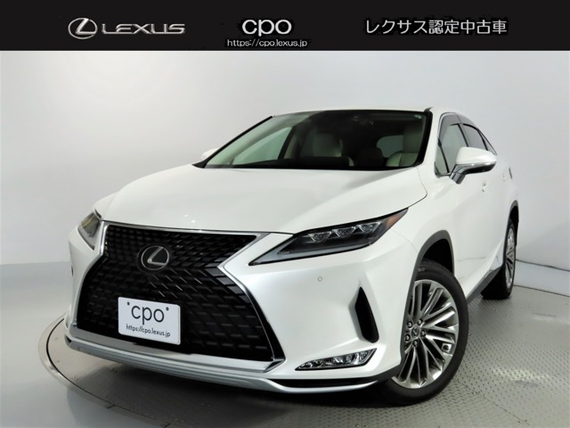 RX 300 バージョンL 