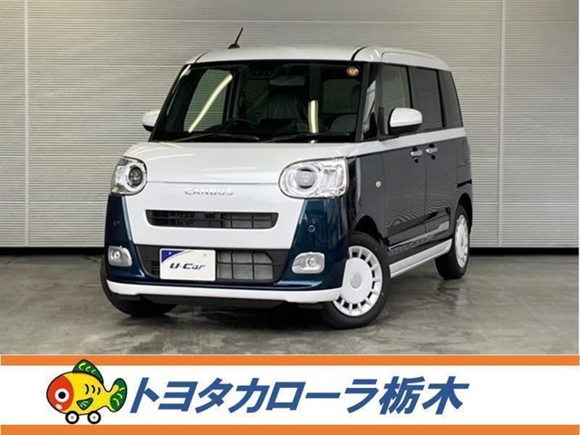 ムーヴキャンバス  ストライプス G
