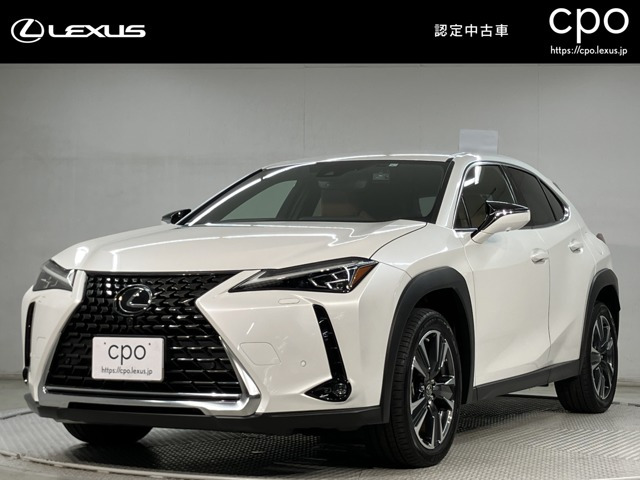 UX 250h バージョンL 