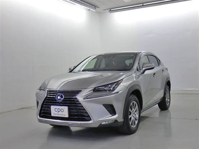 NX 300h Iパッケージ 
