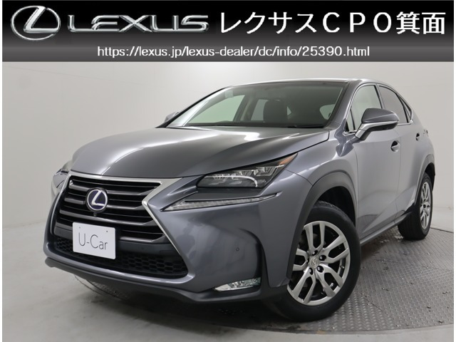 NX 300h Iパッケージ 