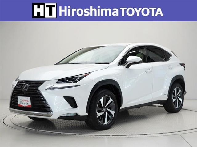 NX 300h バージョンL 