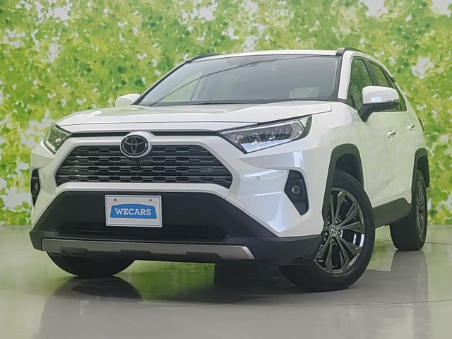 RAV4 2.0 G 4WD 