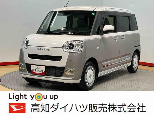 ムーヴキャンバス  ストライプス G