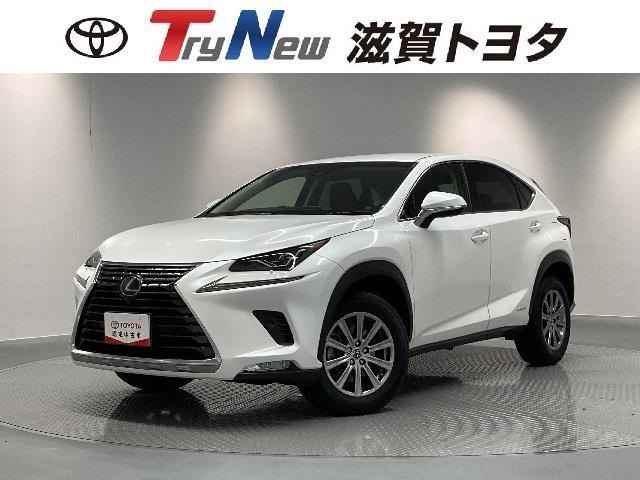 NX 300h Iパッケージ 