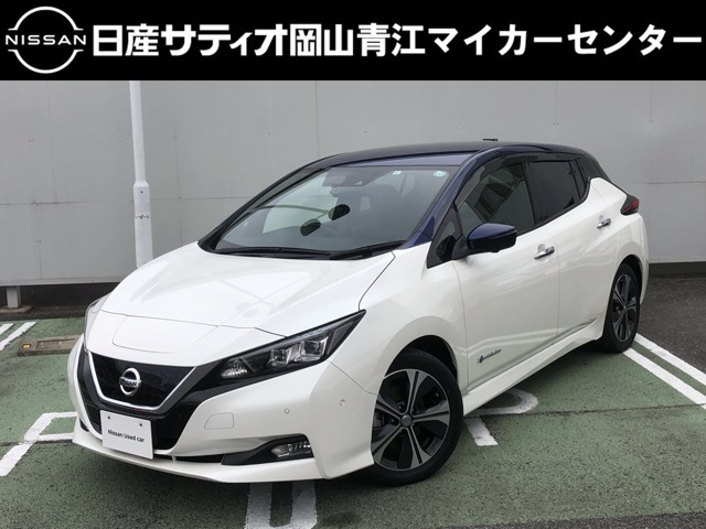 リーフ G 