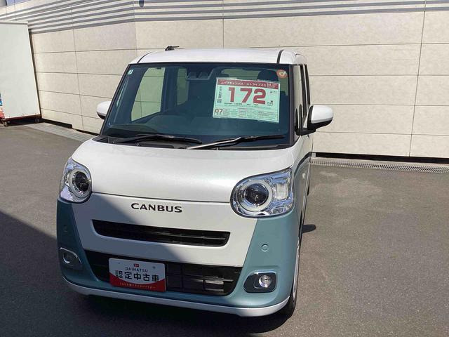 ムーヴキャンバス  ストライプス G