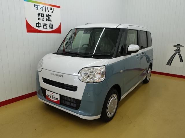 ムーヴキャンバス  ストライプス X