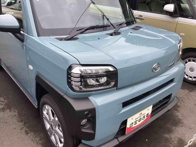 タフト G 